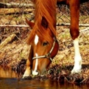 Meet your Posher, Abigail